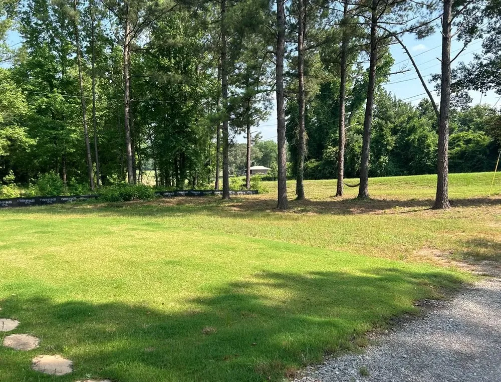 Affordable residential landscaping experts serving Augusta, GA - Lewis Lawn Care & More