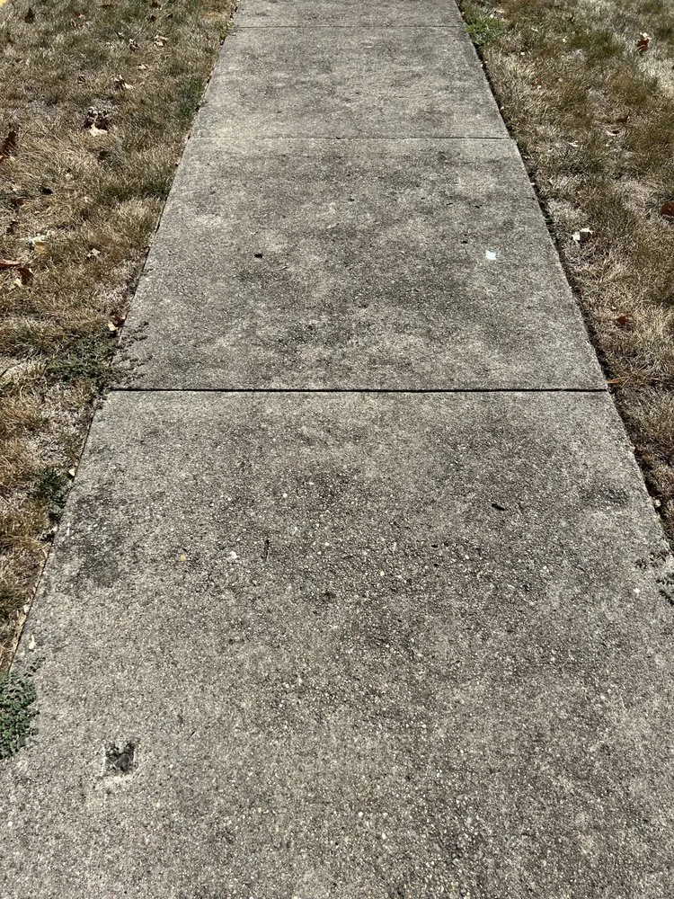 Professional outdoor landscaping in Miamisburg, OH - Lewis Lawn Care & Pressure Washing