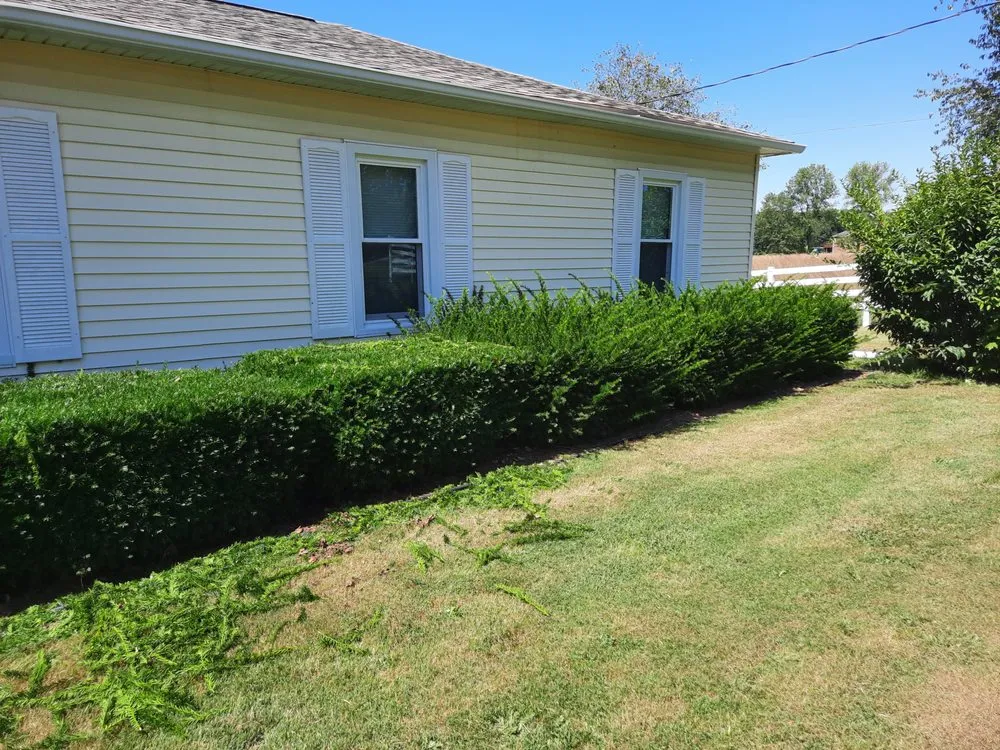Reliable yard cleanup service in Francisco, IN - Lewis Lawn Care