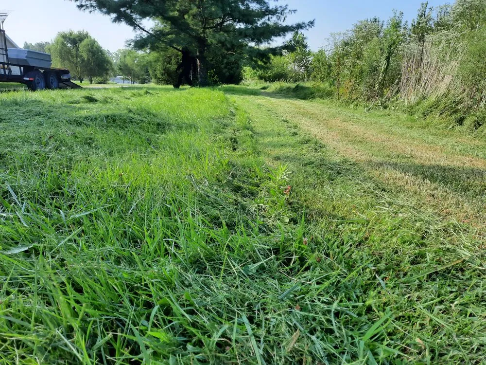 Affordable yard maintenance in Francisco, IN by Lewis Lawn Care
