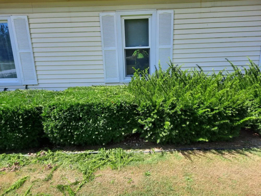 Reliable lawn mowing service for beautiful yards across Francisco, IN - Lewis Lawn Care