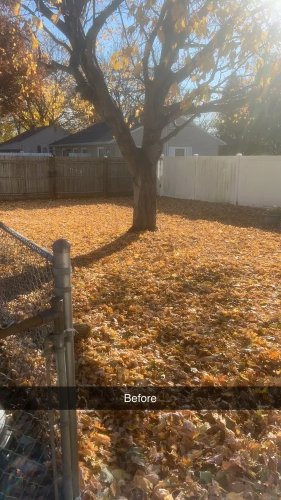 Affordable landscape design in Galesburg, IL by Lewis Lawn Care