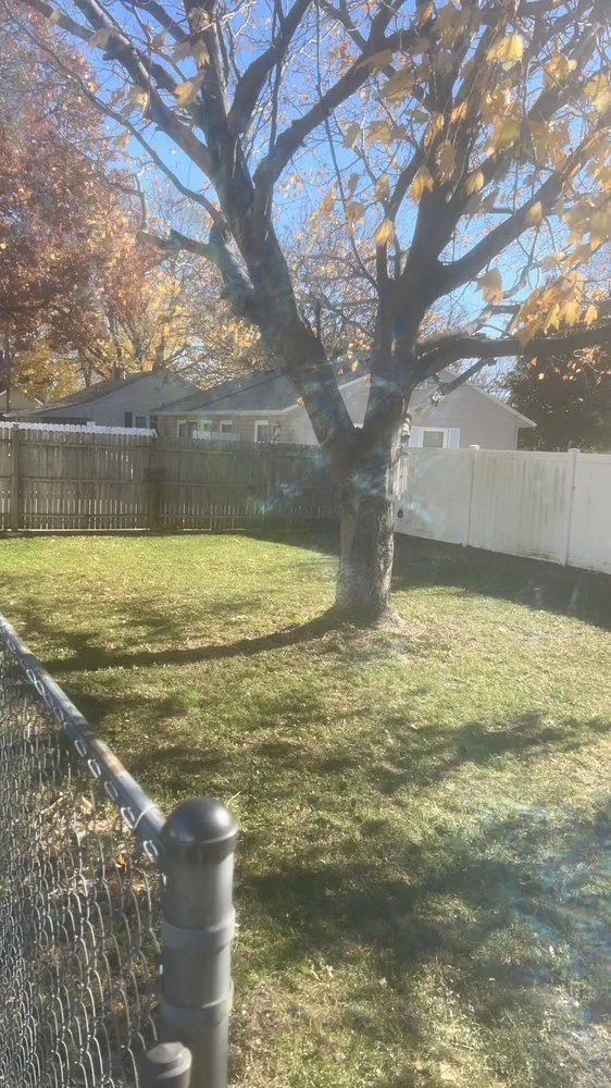 Professional landscape installation near you across Galesburg, IL - Lewis Lawn Care