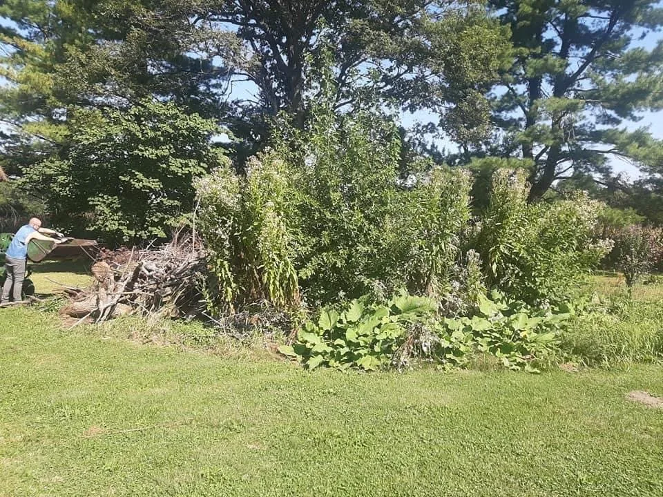 Affordable outdoor landscaping for year-round maintenance in Galesburg, IL by Lewis Lawn Care