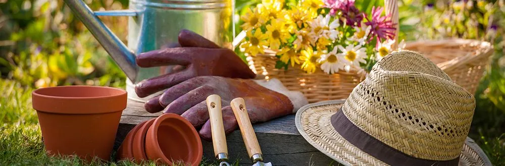 Top-rated landscaping services in Osceola, AR by Lewis Lawn Care