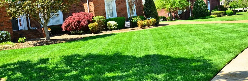 Affordable yard maintenance for homes in Osceola, AR by Lewis Lawn Care