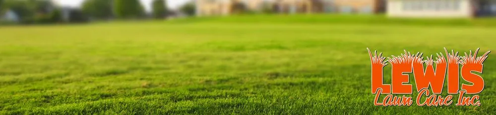 Top-rated outdoor landscaping in Osceola, AR - Lewis Lawn Care