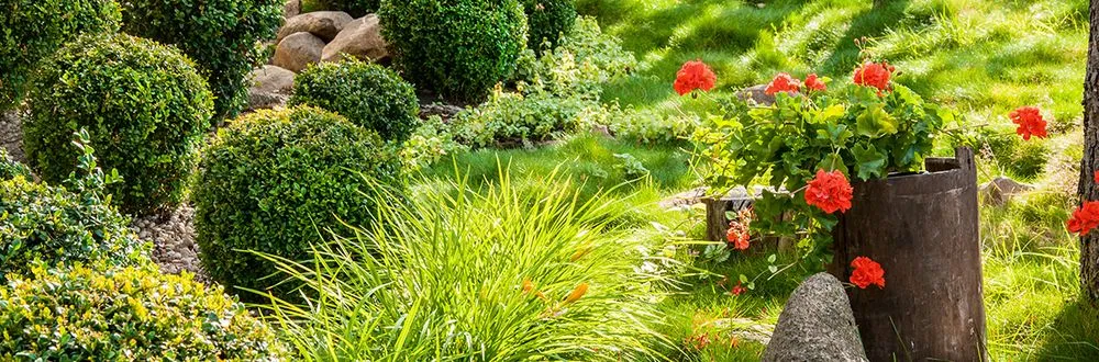 Professional garden landscaping for year-round maintenance across Osceola, AR - Lewis Lawn Care