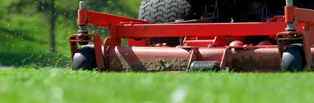 Custom garden landscaping for outdoor upgrades in Osceola, AR by Lewis Lawn Care