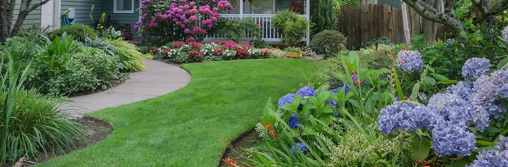 Top-rated lawn mowing service experts serving Osceola, AR - Lewis Lawn Care