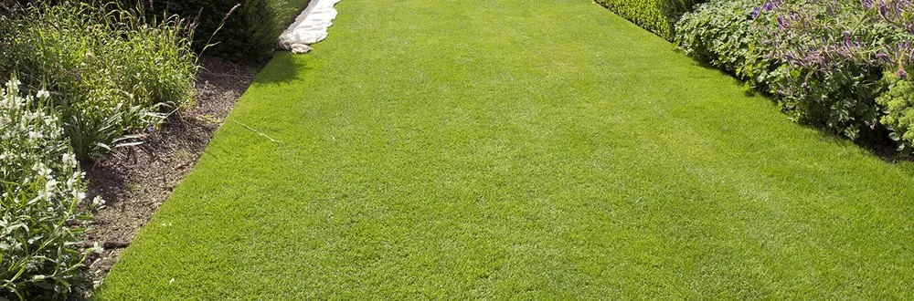 Trusted garden landscaping for beautiful yards across Osceola, AR - Lewis Lawn Care