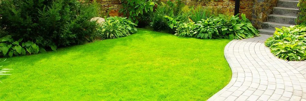 Reliable lawn mowing service in Osceola, AR - Lewis Lawn Care