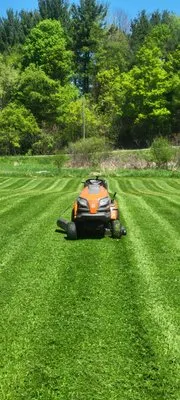 Lewis Lawn Care
