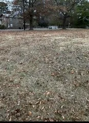 Custom landscape design in Birmingham, AL by Lewis Lawn Care Service