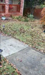 Trusted yard maintenance for homes in Birmingham, AL by Lewis Lawn Care Service