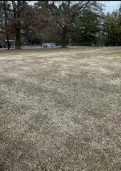 Top-rated landscape design experts serving Birmingham, AL - Lewis Lawn Care Service