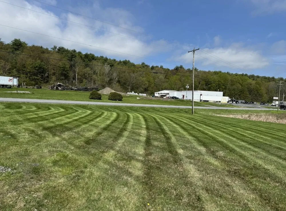 Top-rated yard cleanup service with custom design in Whitehall, NY by Lewis Lawn Care