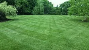 Custom yard cleanup service in Beaumont, TX - Lewis Lawn Service