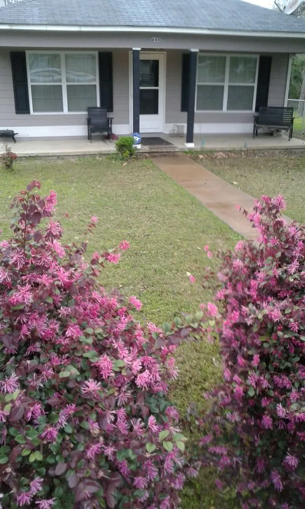 Trusted garden landscaping experts serving Columbus, GA - Lewis Lawn Service