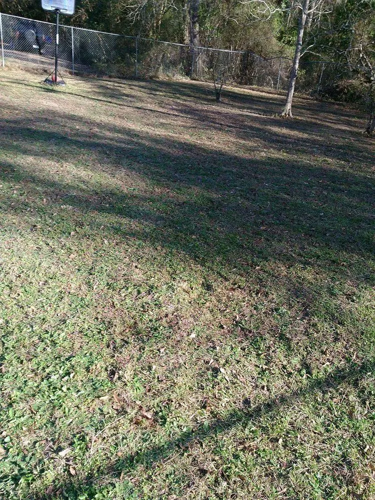 Professional outdoor landscaping for year-round maintenance in Columbus, GA by Lewis Lawn Service