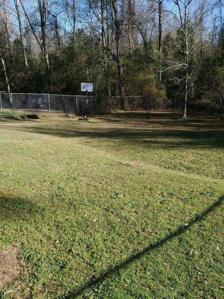 Professional lawn care service in Columbus, GA - Lewis Lawn Service