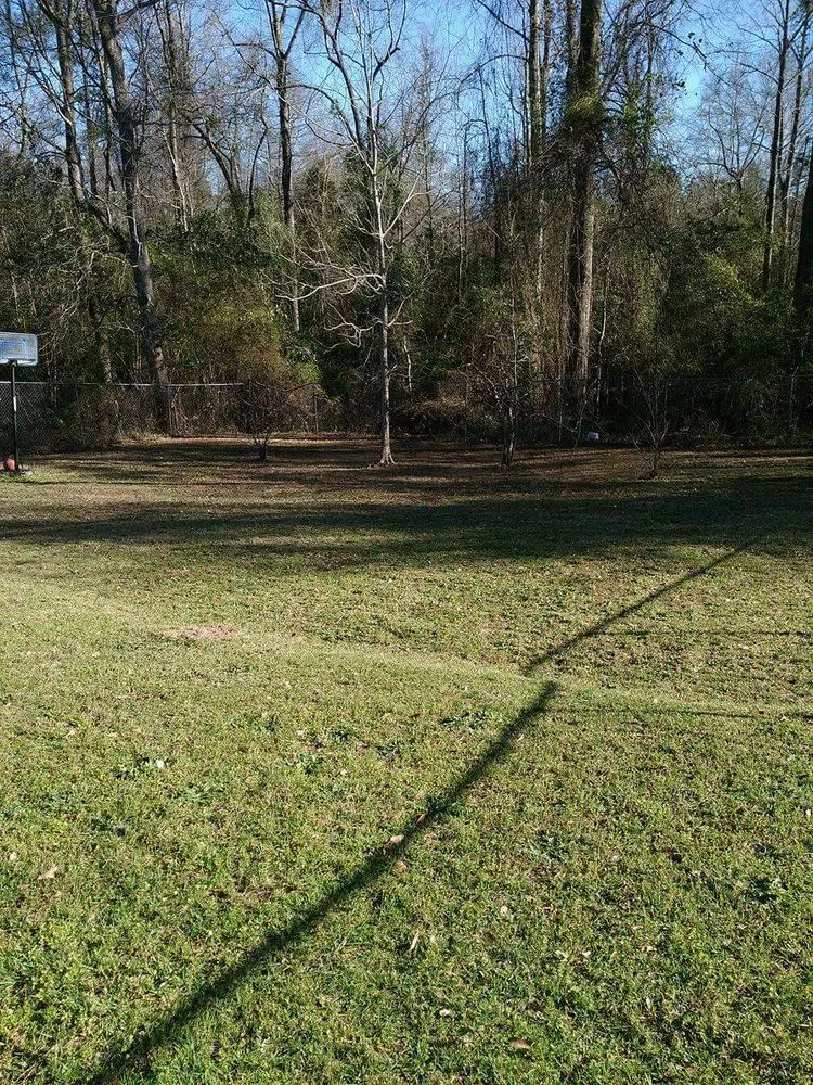 Trusted lawn care service for homes in Columbus, GA by Lewis Lawn Service