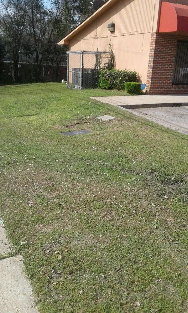 Local lawn care service for year-round maintenance across Columbus, GA - Lewis Lawn Service