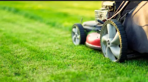 Lewis Lawn Service Logo