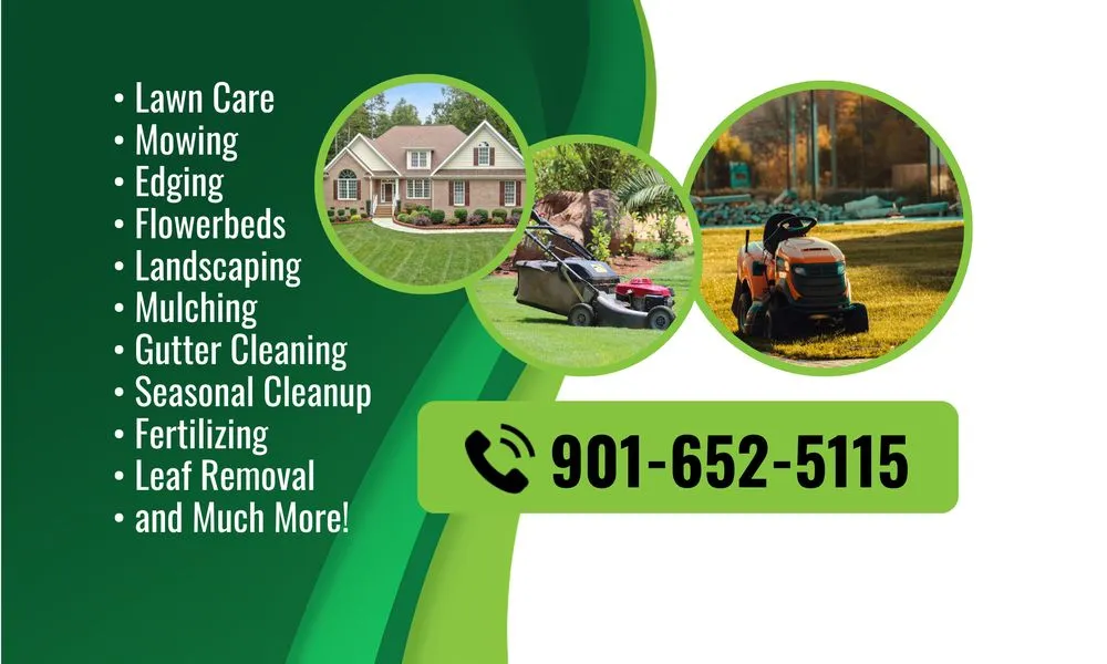 Local yard cleanup service with custom design in Southaven, MS by Lewis Lawn Services