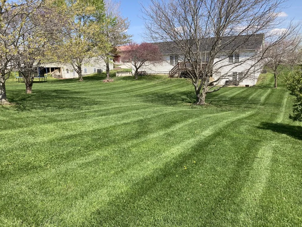 Custom lawn mowing service for residential properties across Jackson, MO - Lewis Lawncare