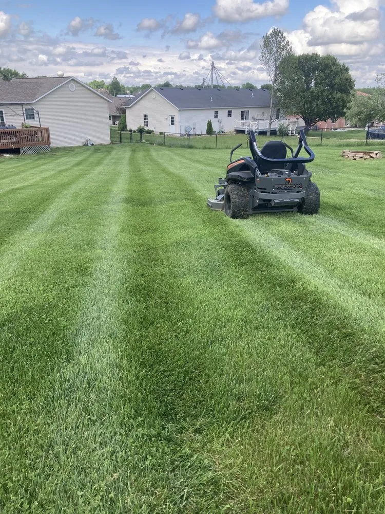 Local yard cleanup service in Jackson, MO - Lewis Lawncare