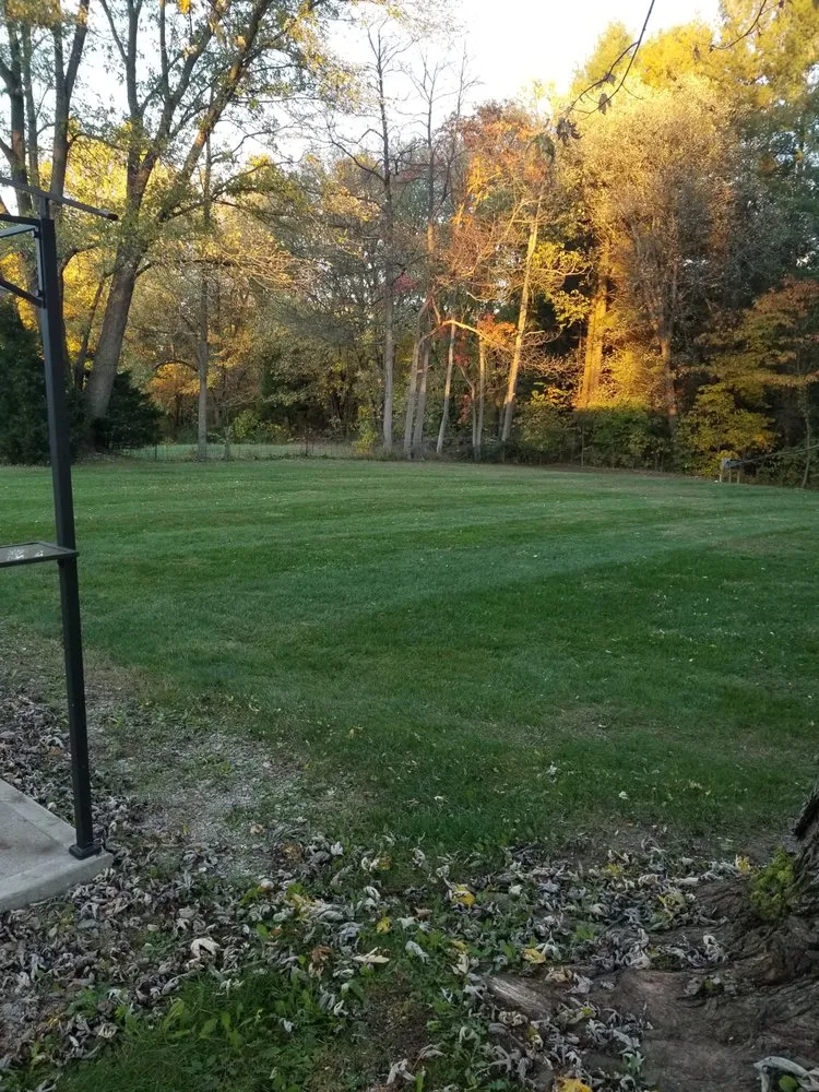 Professional lawn mowing service for outdoor upgrades in Martinsville, IN by Lewis Lawncare