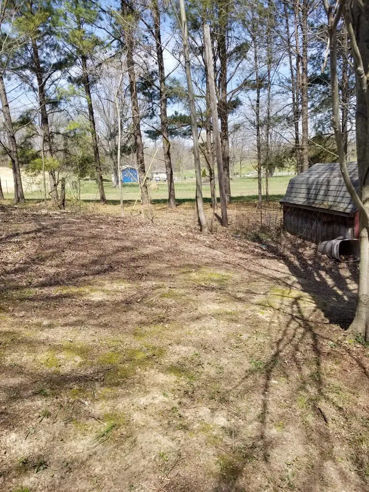 Local landscape design in Martinsville, IN - Lewis Lawncare