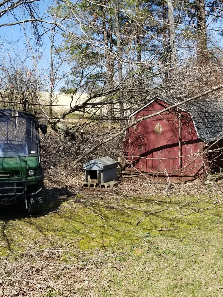 Trusted lawn mowing service for beautiful yards in Martinsville, IN by Lewis Lawncare