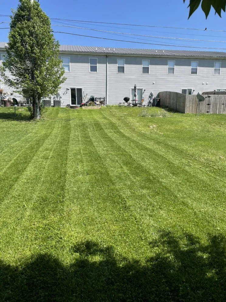 Reliable landscape design experts serving Nicholasville, KY - Lewis Lawncare