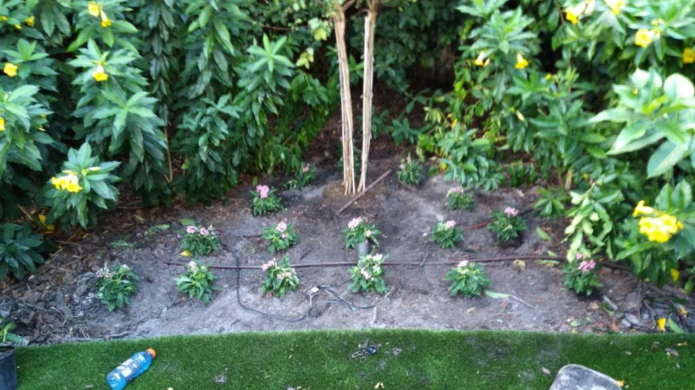 Local garden landscaping in Tampa, FL by Lewis Loves Landscaping