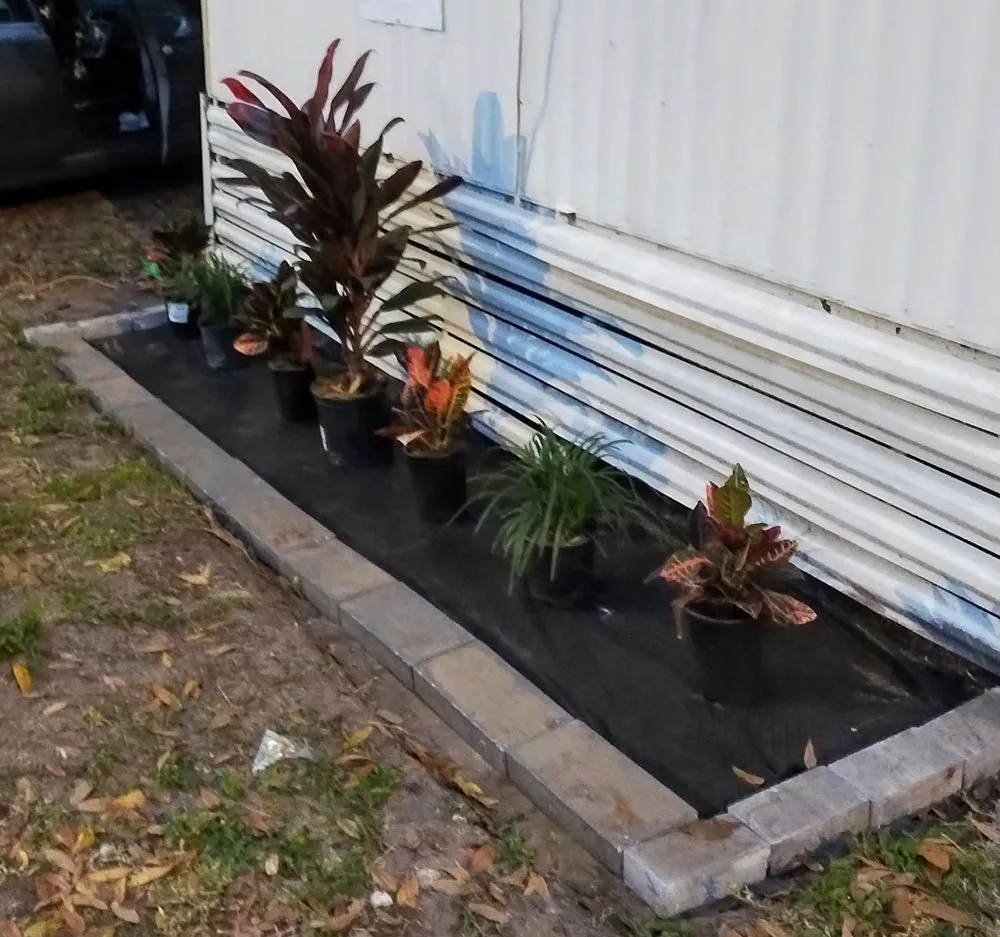 Trusted yard cleanup service for year-round maintenance across Tampa, FL - Lewis Loves Landscaping