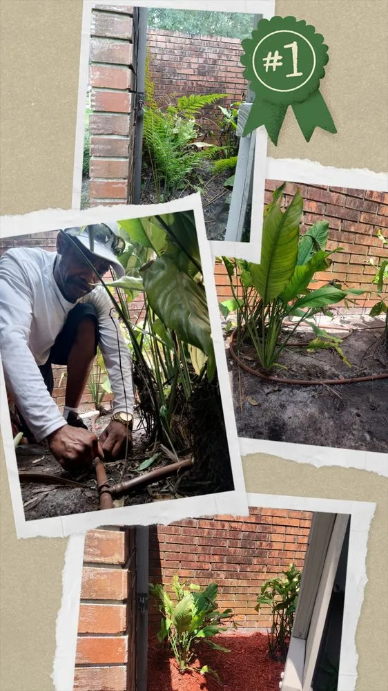 Reliable residential landscaping with custom design in Tampa, FL by Lewis Loves Landscaping