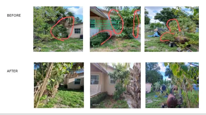 Expert outdoor landscaping in Tampa, FL by Lewis Loves Landscaping