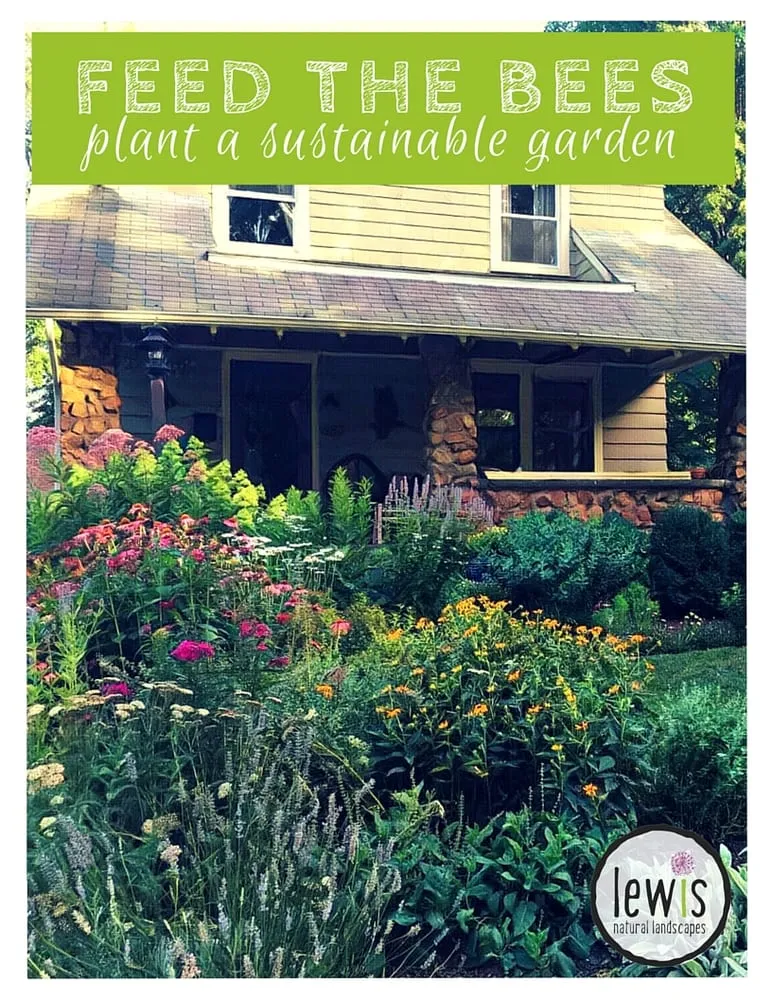 Top-rated yard cleanup service for outdoor upgrades across North Plainfield, NJ - Lewis Natural Landscapes