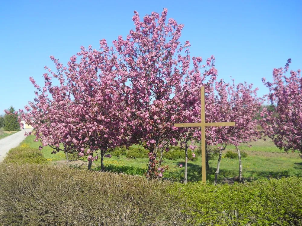 Affordable lawn mowing service experts serving Bellbrook, OH - Lewis Nursery & Landscaping