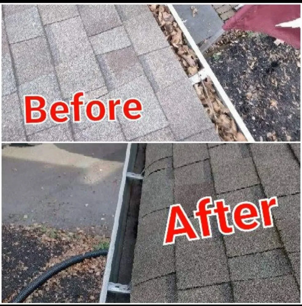 Expert yard cleanup service experts serving Norwood, PA - Lewis' Odds & Ends