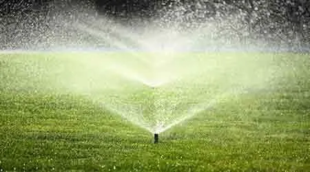 Custom landscaping services in Oviedo, FL - Lewis Outdoor Solutions