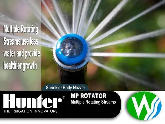 Lewis Outdoor Solutions