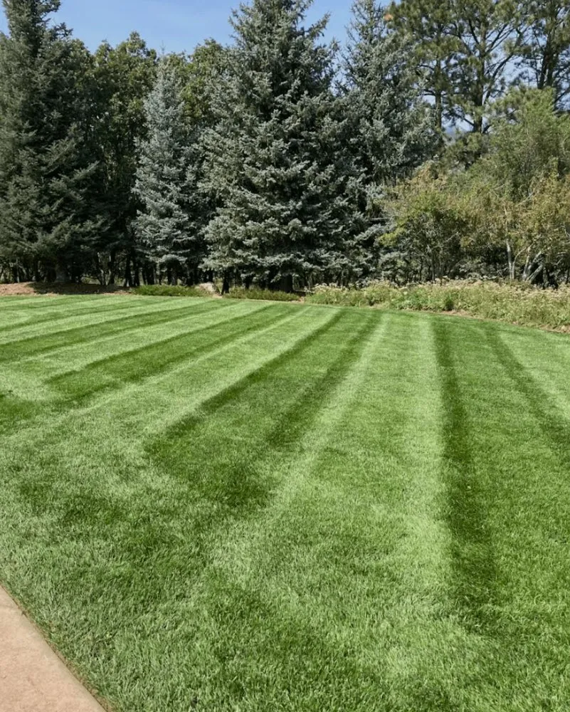 Professional garden landscaping experts serving Champaign, IL - Lewis Property Maintenance