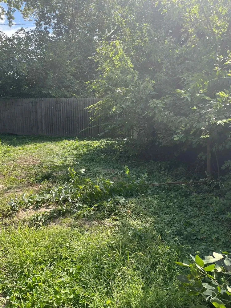 Custom garden landscaping in Champaign, IL by Lewis Property Maintenance