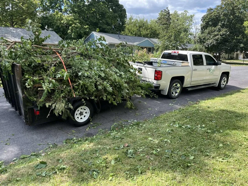 Trusted yard maintenance in Champaign, IL by Lewis Property Maintenance