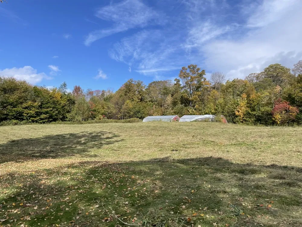 Top-rated residential landscaping for homes across Danby, VT - Lewis Property Maintenance