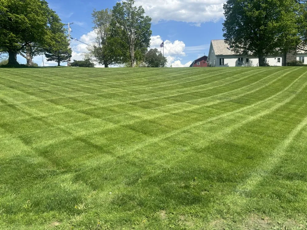 Top-rated landscaping services for residential properties across Danby, VT - Lewis Property Maintenance