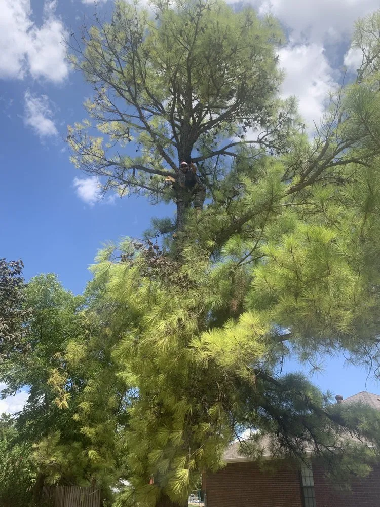 Custom landscaping services experts serving Duncan, OK - Lewis Tree Service